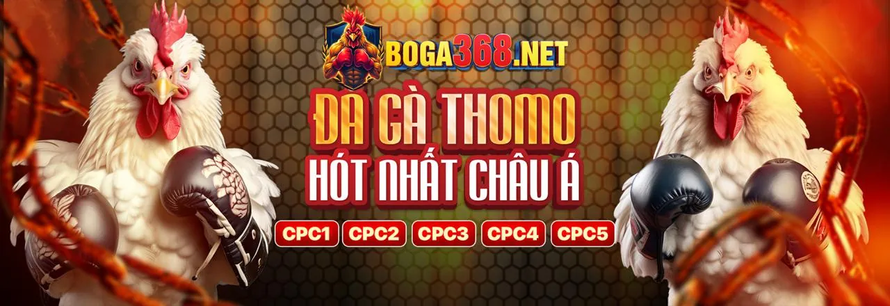 Đa dạng loại hình cá cược thể thao tại win333 win